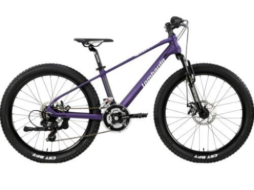 Lombardo Brera H 33 cm purper  21 sp Mdisc